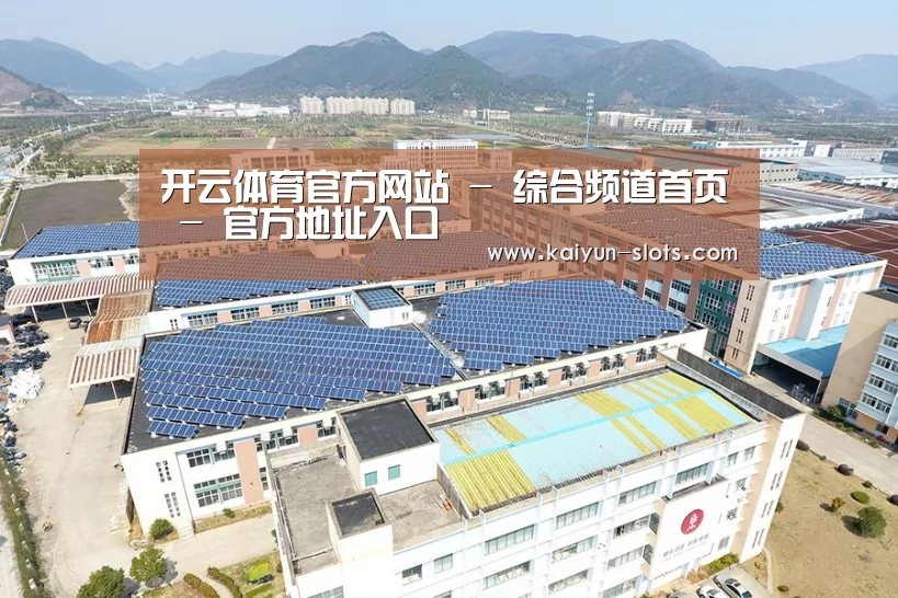 案例展示二