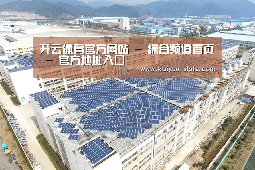案例展示一