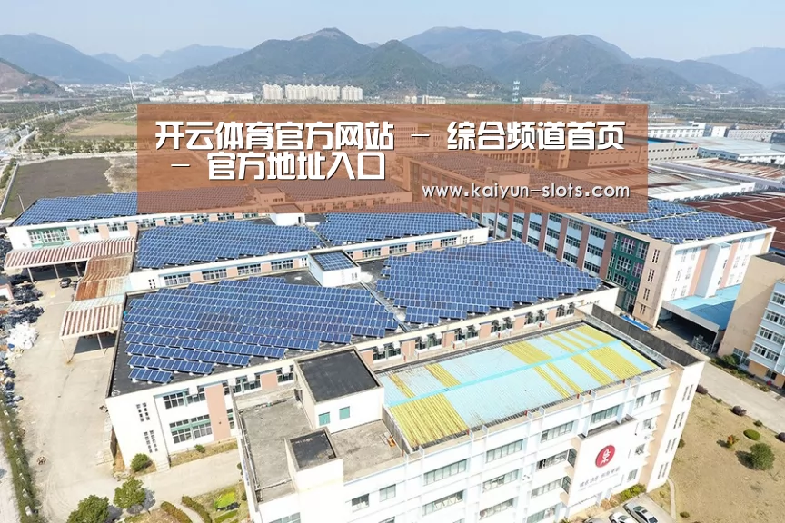 案例展示四
