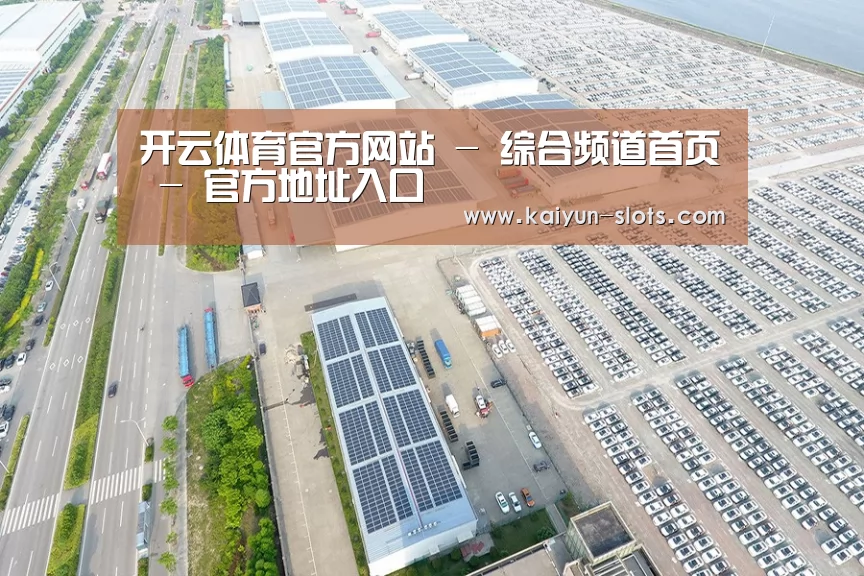 案例展示四
