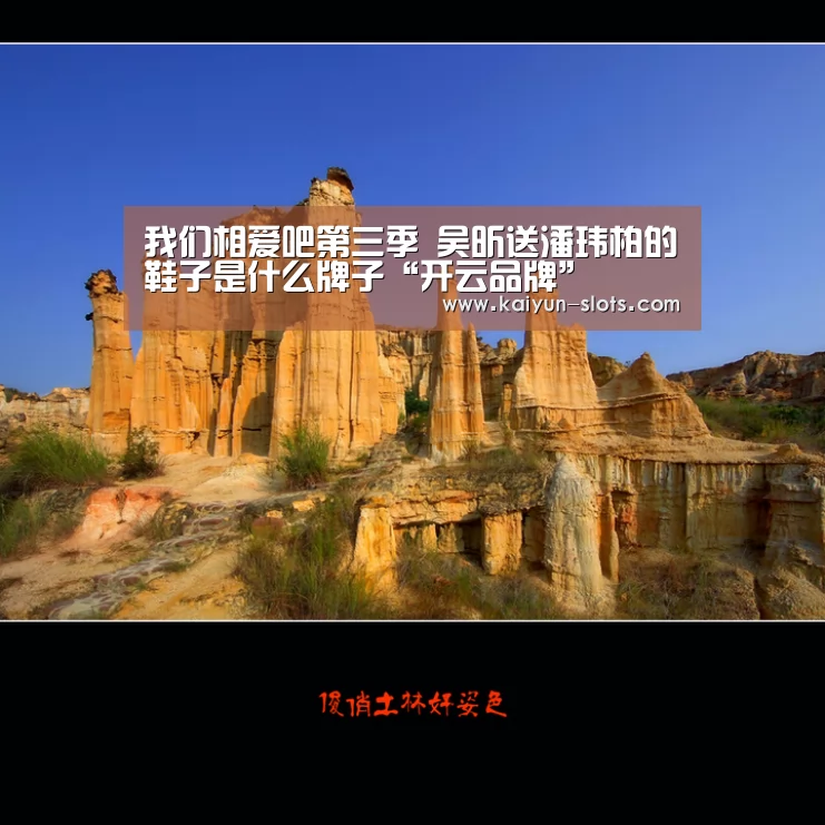 我们相爱吧第三季 吴昕送潘玮柏的鞋子是什么牌子“开云品牌”(图3) 开云首页